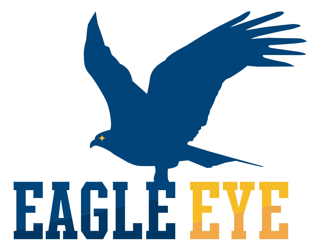 株式会社イーグルアイ 公式HP