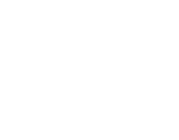 株式会社イーグルアイ